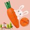 5 PCS Lanterns, Easter Carrot-shaped Paper Lanterns, Cartoon Paper Lantern, for Party, Classroom, Birthday, Home Decoration, for Easter Decoration